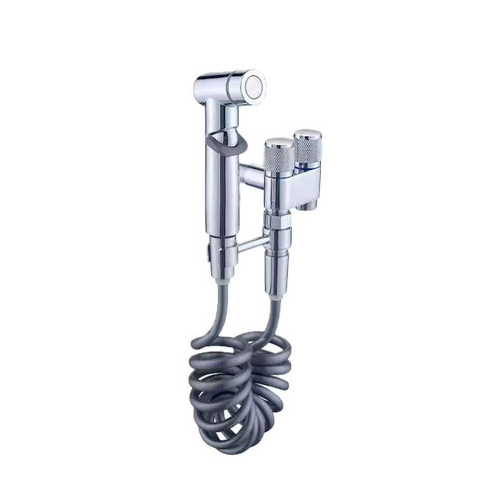 ds-538002-s-2 Επιτοίχιο Σετ Μπιντέ IN0182 Ασημί - Image 1
