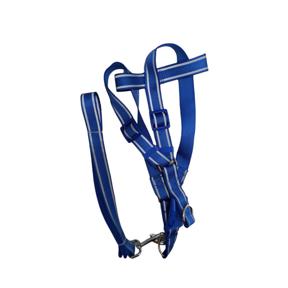 ds-620997-1 Σαμαράκι Σκύλου Λουρί 120cm και Στηθόλουρο Large Μεγέθους YBTY-2997 Μπλε OEM - Image 1